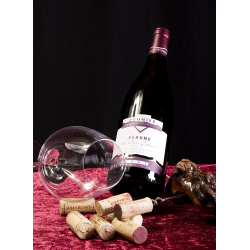 Bourgogne Domaine Prunier Beaune 